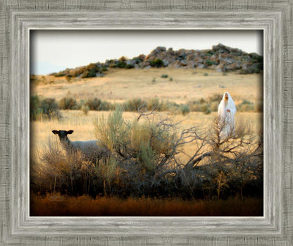 In Search of the One