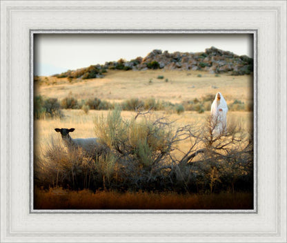 In Search of the One