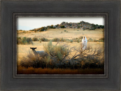 In Search of the One