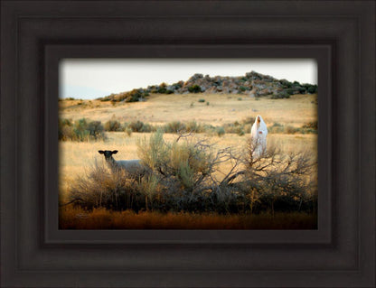 In Search of the One