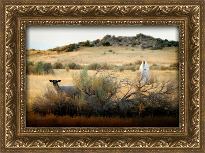 In Search of the One