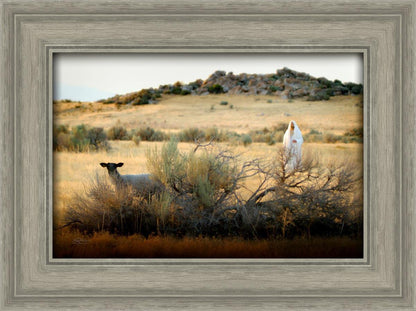 In Search of the One