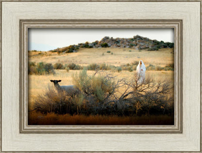 In Search of the One