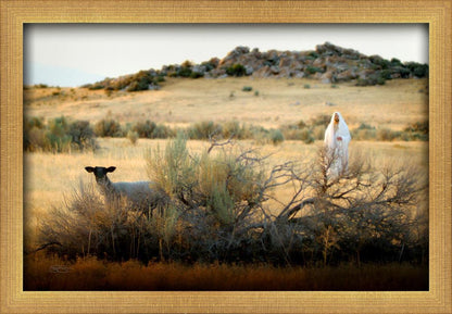 In Search of the One