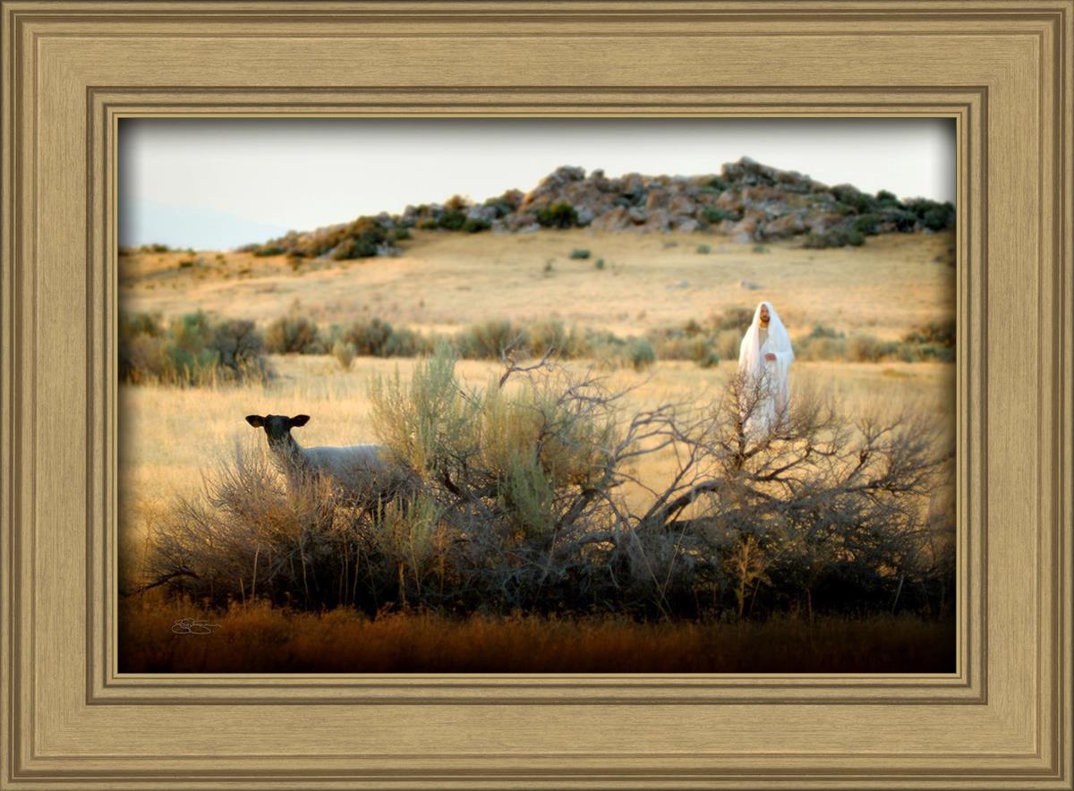 In Search of the One