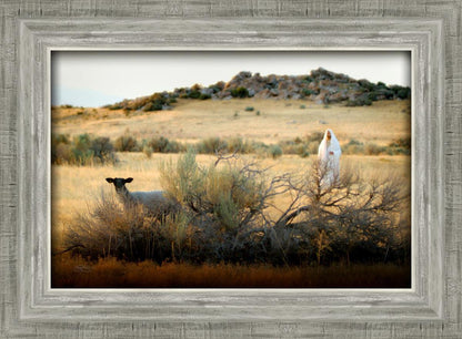 In Search of the One