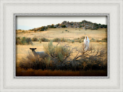 In Search of the One