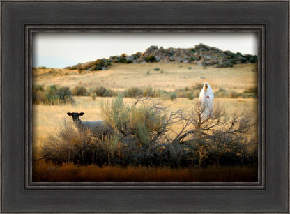 In Search of the One