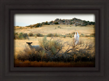 In Search of the One