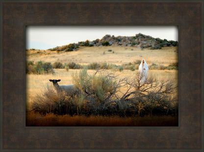 In Search of the One