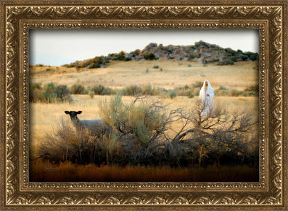 In Search of the One