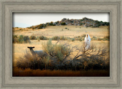 In Search of the One