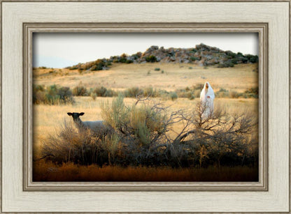 In Search of the One