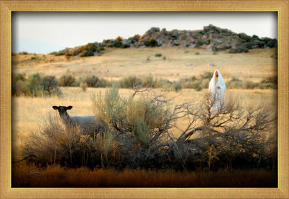 In Search of the One