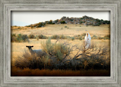 In Search of the One