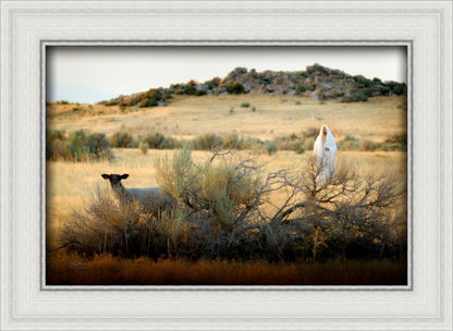 In Search of the One