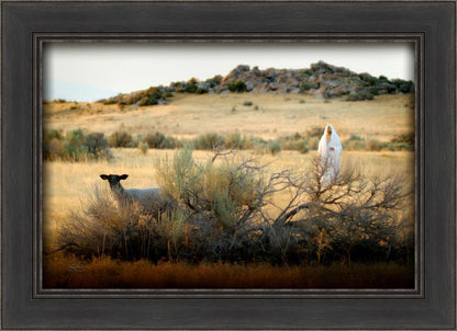 In Search of the One