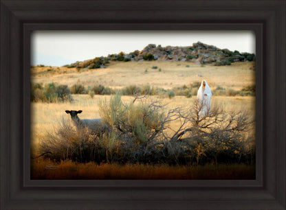 In Search of the One