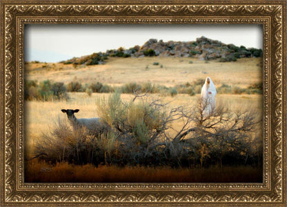 In Search of the One