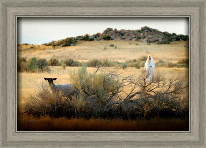 In Search of the One