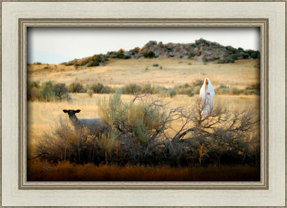 In Search of the One