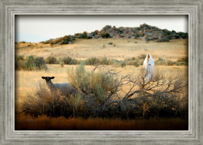 In Search of the One