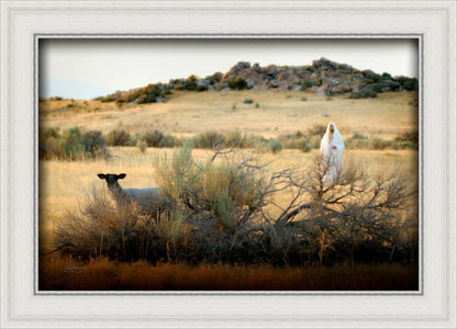 In Search of the One