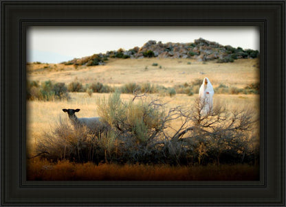 In Search of the One