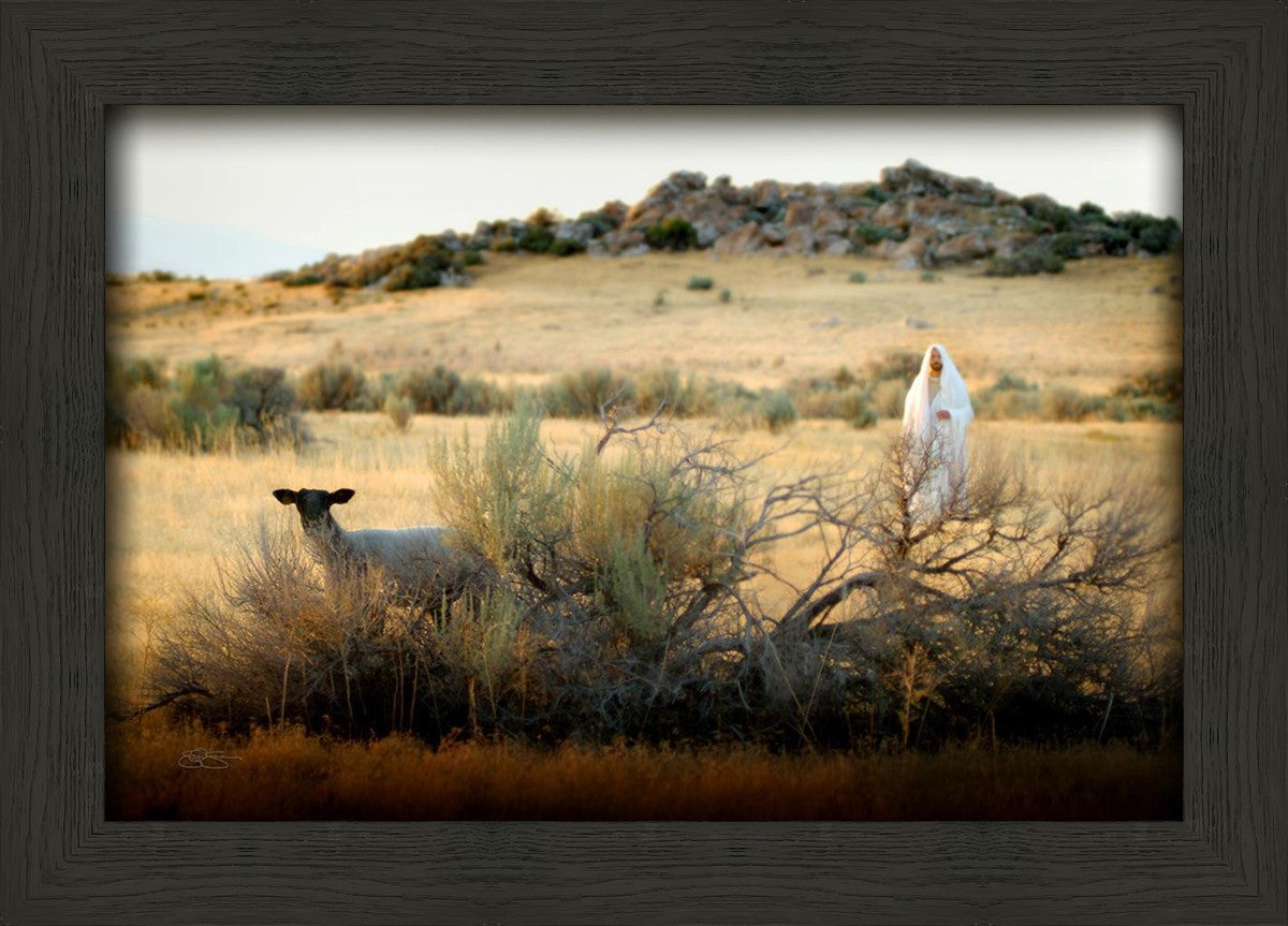 In Search of the One