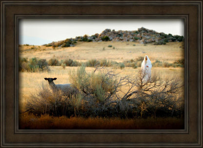 In Search of the One