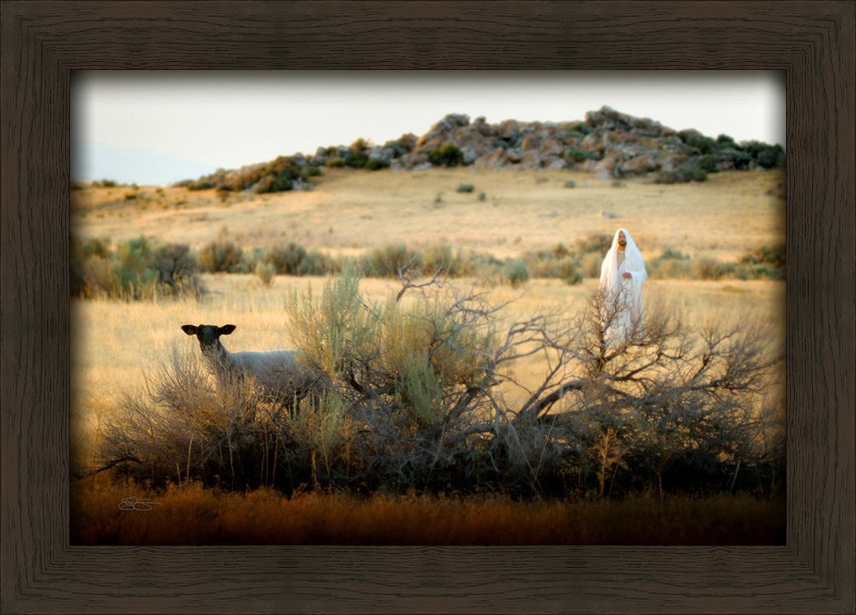 In Search of the One