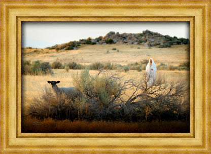 In Search of the One