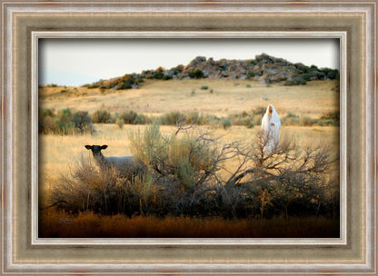 In Search of the One