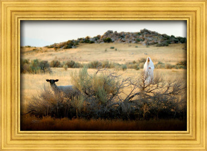 In Search of the One