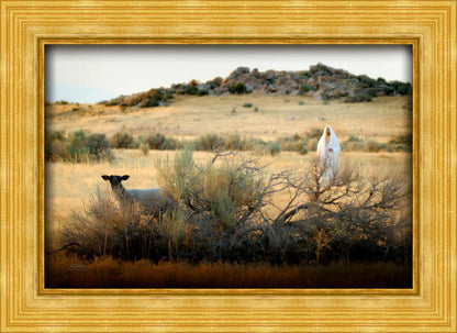 In Search of the One