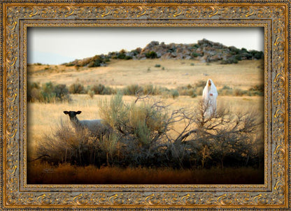 In Search of the One