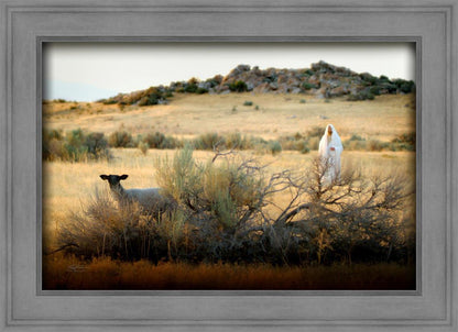 In Search of the One