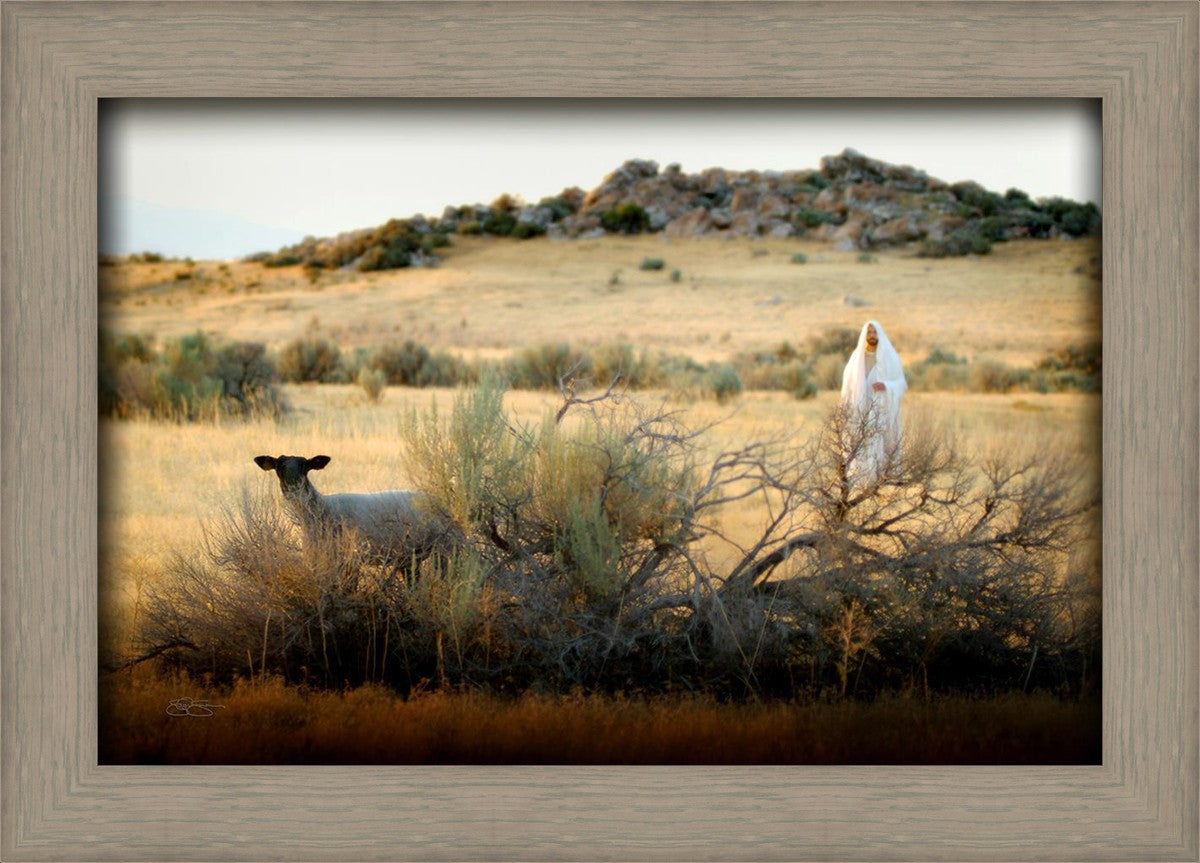 In Search of the One