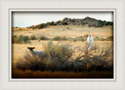 In Search of the One