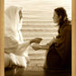 Living Waters