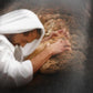 Not My Will But Thine