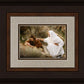 The Comforter