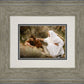 The Comforter
