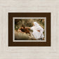The Comforter