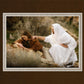 The Comforter