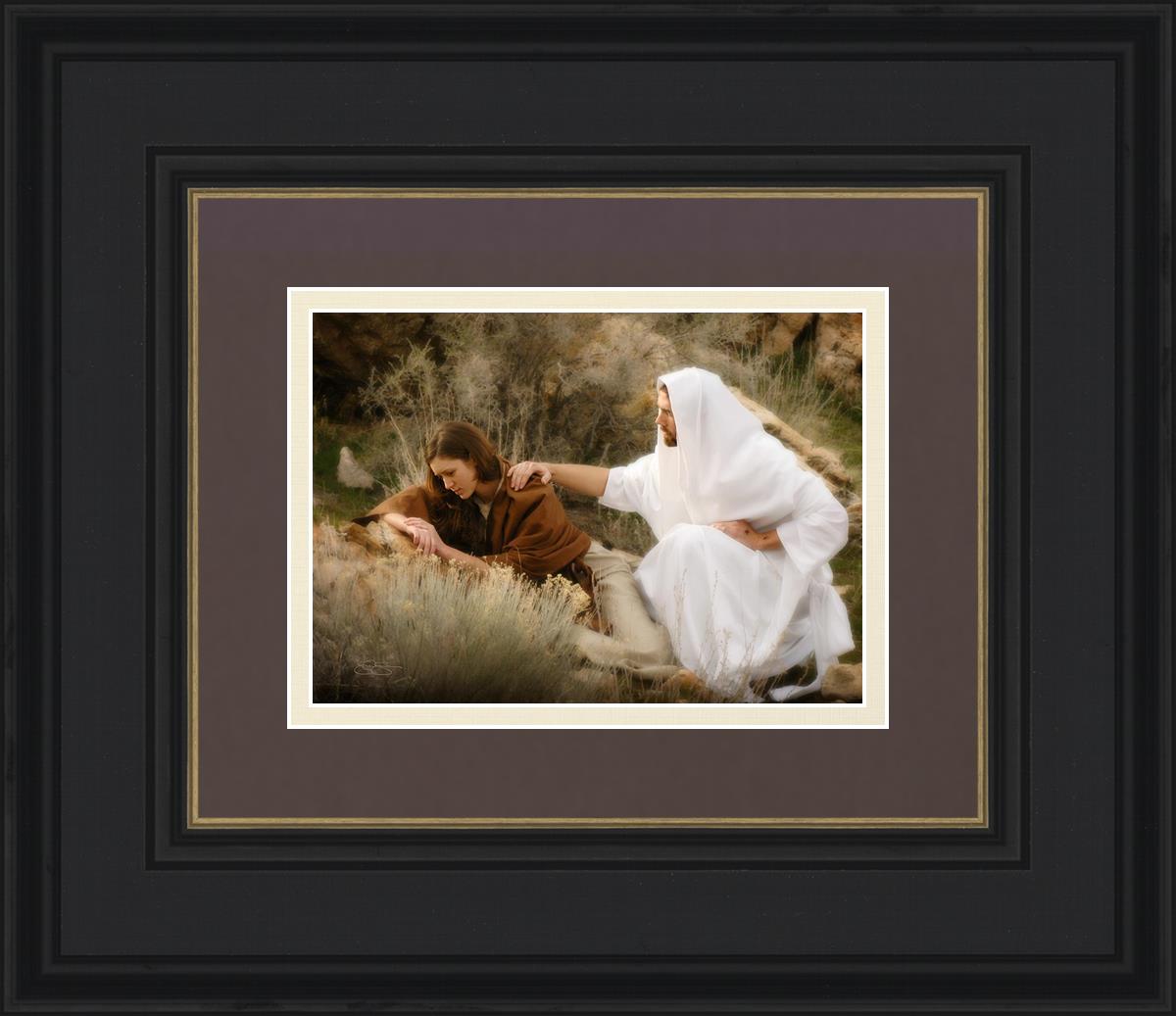The Comforter