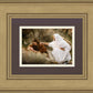 The Comforter