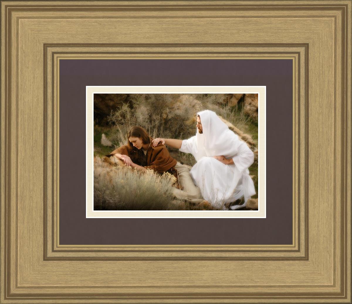 The Comforter