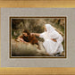 The Comforter