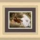 The Comforter